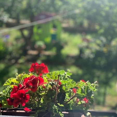 Apartman Dalija Винкуран Екстер'єр фото